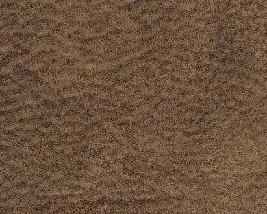 31901-SWATCH-ACCENT-B